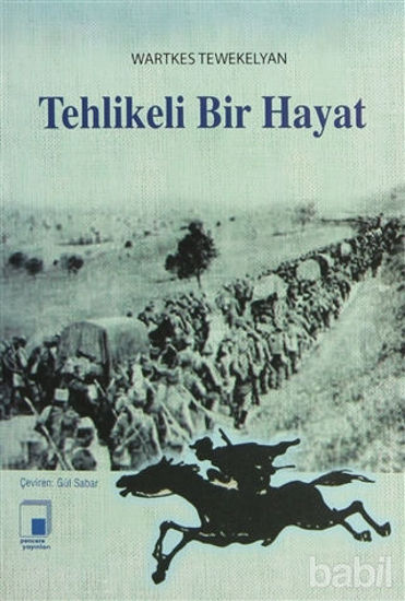 Picture of Tehlikeli Bir Hayat