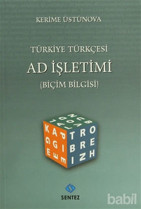 Picture of Türkiye Türkçesi Ad İşletimi