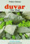 Picture of Duvar