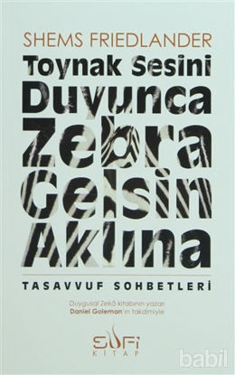 Picture of Toynak Sesini Duyunca Zebra Gelsin Aklına