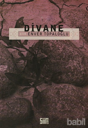 Picture of Divane