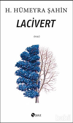 Picture of Lacivert