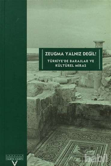 Picture of Zeugma Yalnız Değil! Türkiye’de Barajlar ve Kültürel Miras
