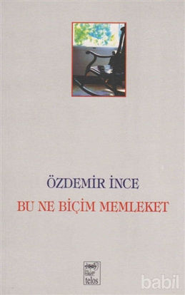 Picture of Bu Ne Biçim Memleket