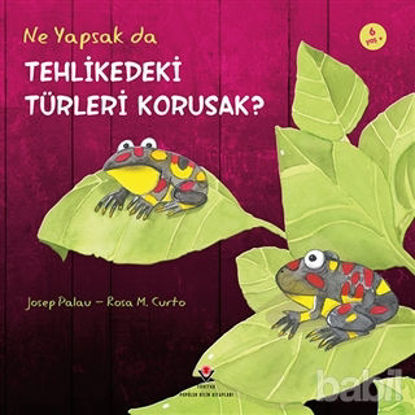 Picture of Ne Yapsak da Tehlikedeki Türleri Korusak?