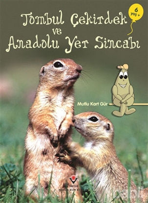 Picture of Tombul Çekirdek ve Anadolu Yer Sincabı