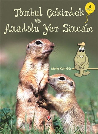 Picture of Tombul Çekirdek ve Anadolu Yer Sincabı