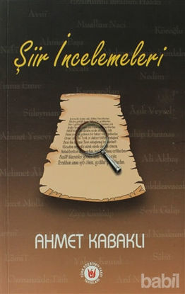 Picture of Şiir İncelemeleri