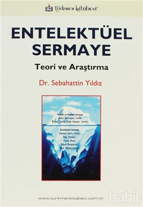 Picture of Entelektüel Sermaye