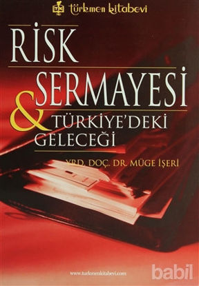 Picture of Risk Sermayesi ve Türkiye’deki Geleceği