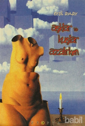 Picture of Aşklar ve Kuşlar Azalırken