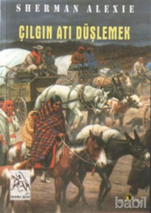 Picture of Çılgın Atı Düşlemek