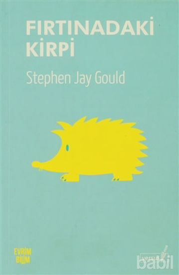 Picture of Fırtınadaki Kirpi