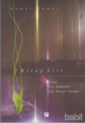 Picture of 3 Kitap Şiir