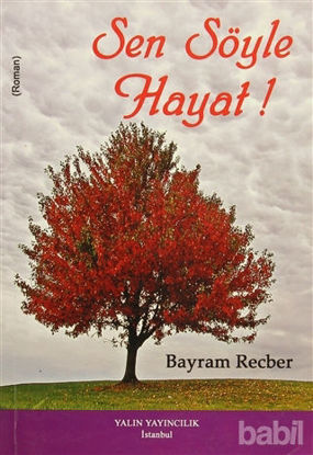 Picture of Sen Söyle Hayat!