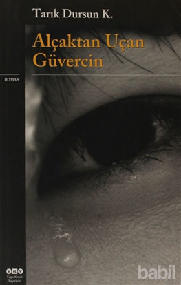 Picture of Alçaktan Uçan Güvercin