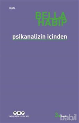 Picture of Psikanalizin İçinden