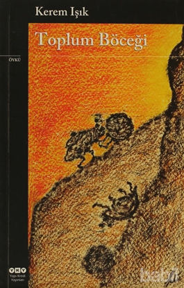 Picture of Toplum Böceği