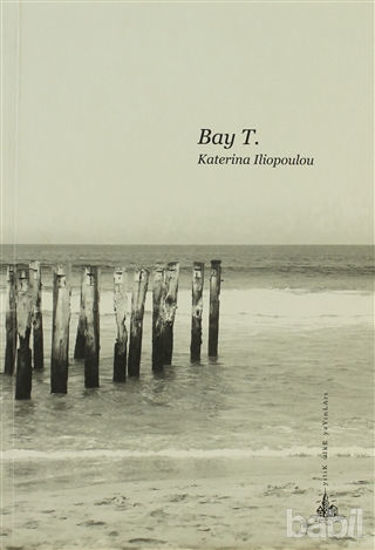 Picture of Bay T