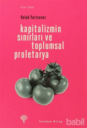 Picture of Kapitalizmin Sınırları ve Toplumsal Proletarya