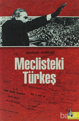 Picture of Meclisteki Türkeş