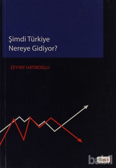 Picture of Şimdi Türkiye Nereye Gidiyor