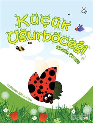 Picture of Küçük Uğurböceği