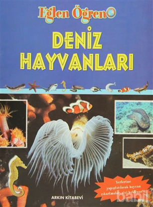 Picture of Deniz Hayvanları
