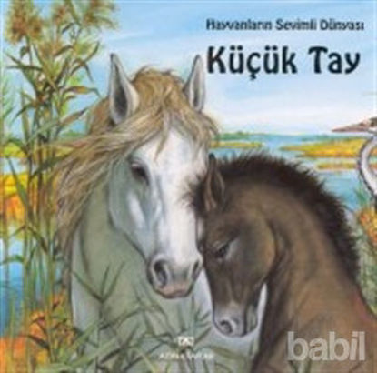 Picture of Küçük Tay