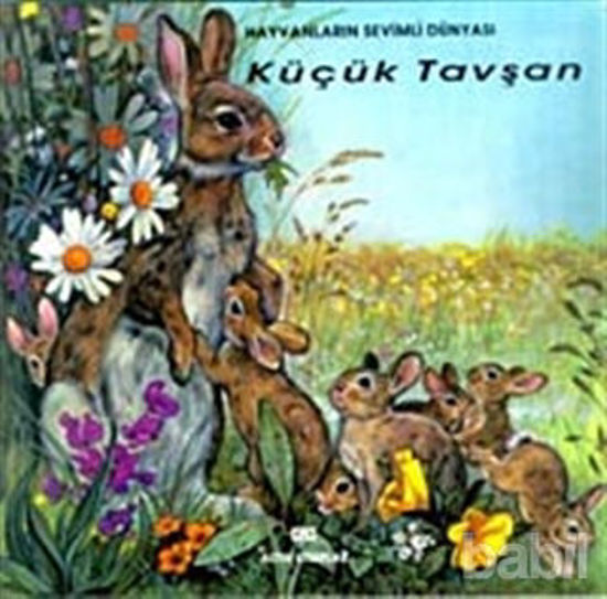 Picture of Küçük Tavşan