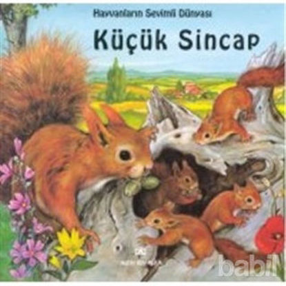 Picture of Hayvanların Sevimli Dünyası Küçük Sincap