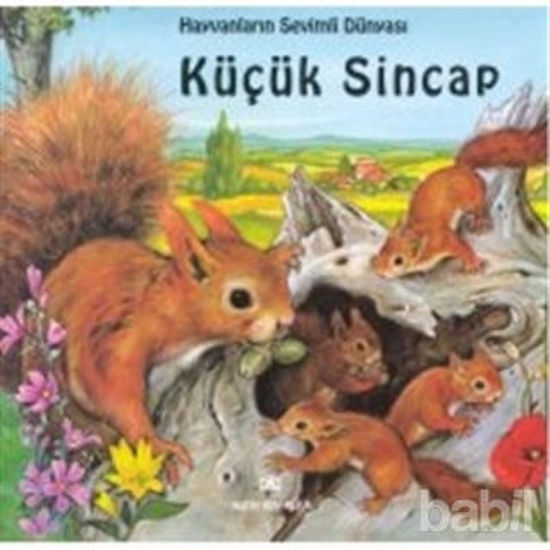 Picture of Hayvanların Sevimli Dünyası Küçük Sincap