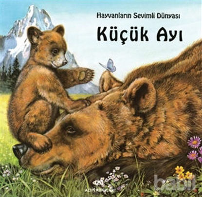 Picture of Küçük Ayı