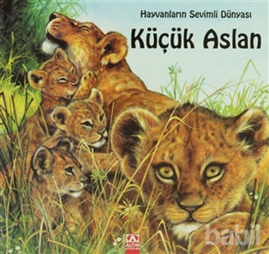 Picture of Küçük Aslan