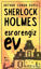 Picture of Sherlock Holmes - Esrarengiz Ev