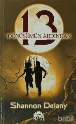 Picture of 13 Dönüşümün Ardından