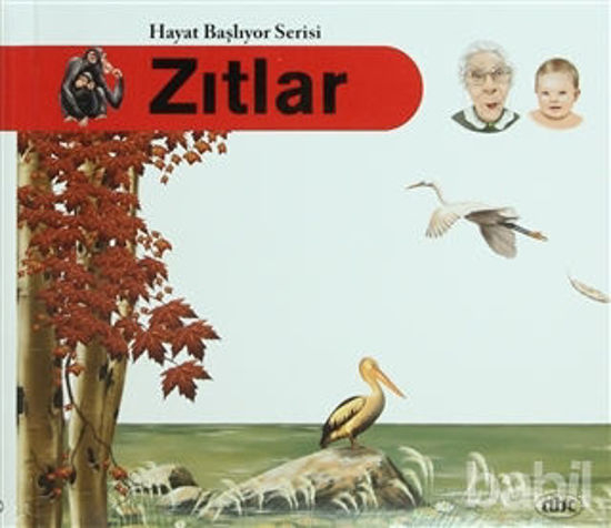 Picture of Zıtlar - Hayat Başlıyor Serisi 5