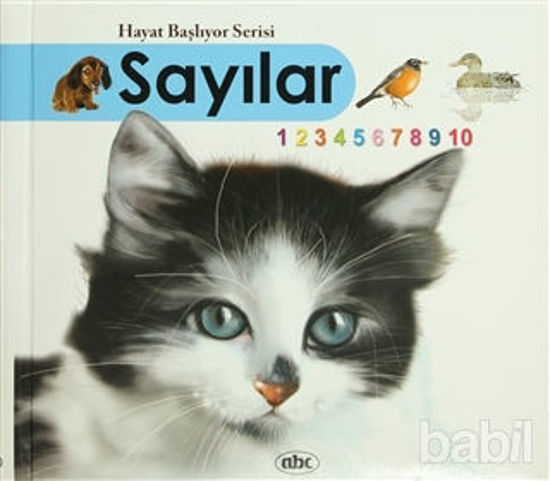 Picture of Sayılar - Hayat Başlıyor Serisi 1