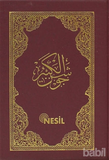 Picture of Cevşenü'l Kebir