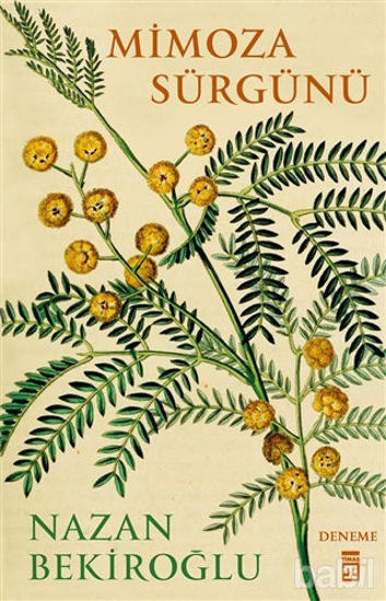 Picture of Mimoza Sürgünü