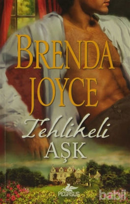 Picture of Tehlikeli Aşk