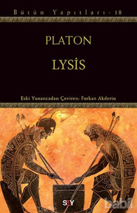 Picture of Lysis