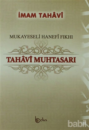 Picture of Tahavi Muhtasarı