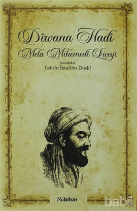 Picture of Diwana Hadi