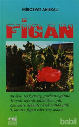 Picture of Figan