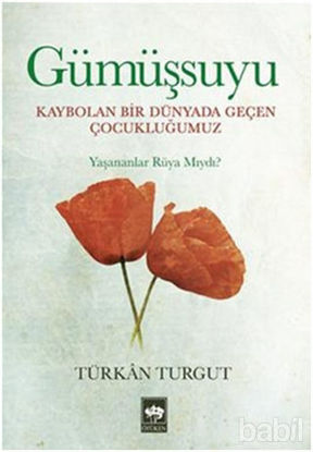 Picture of Gümüşsuyu