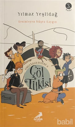 Picture of Çöl Tilkisi