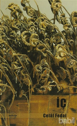 Picture of İç