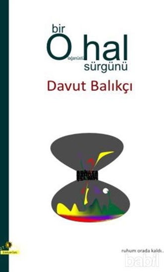 Picture of Bir Olağanüstü Hal Sürgünü