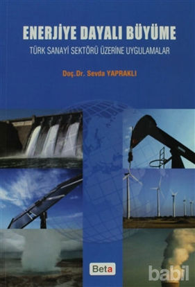 Picture of Enerjiye Dayalı Büyüme